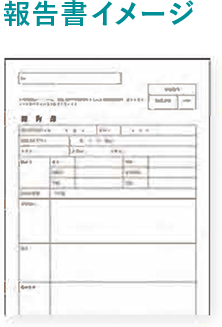 報告書イメージ